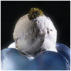 Helado de Caviar de Petrossian y Philippe Faur Helado de Caviar de Petrossian y Philippe Faur