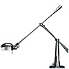 Ralph Lauren Equilibrium Ralph Lauren Equilibrium