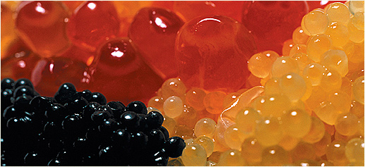 Caviar